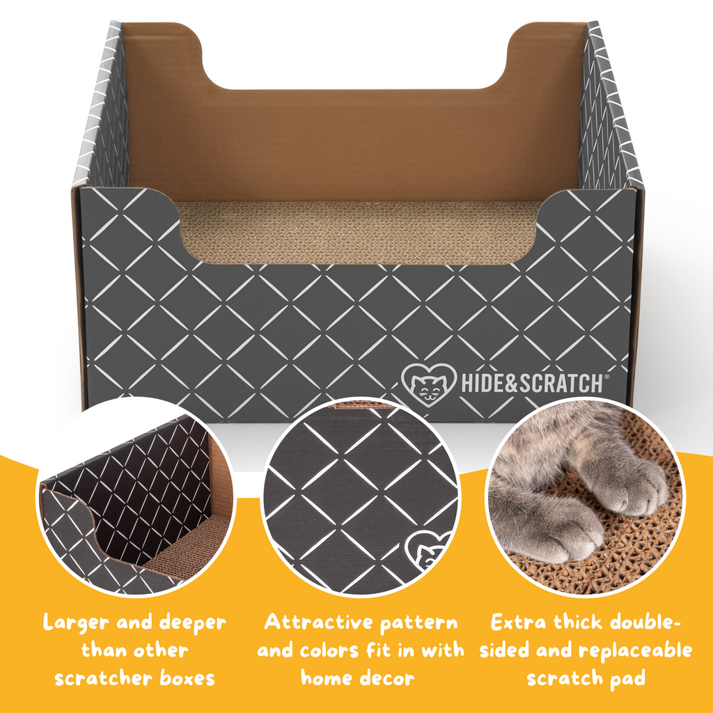 Hide & Scratch Extra-Large Cat Scratcher Box — Hideaway & Scratch Pad