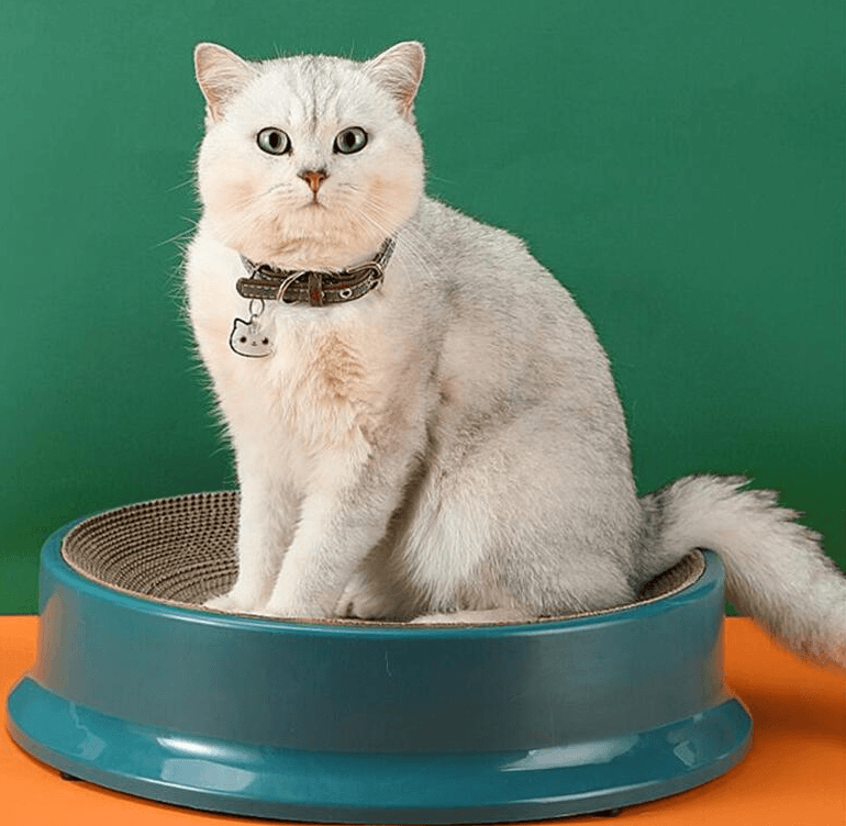Scratch-Proof Cat Scratcher — with Interchangeable Corrugated Paper