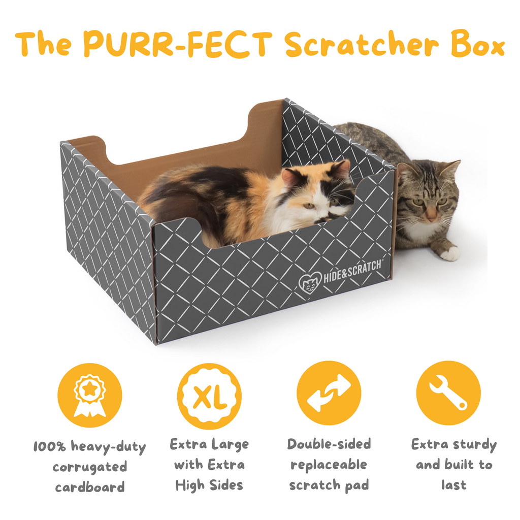 Hide & Scratch Extra-Large Cat Scratcher Box — Hideaway & Scratch Pad