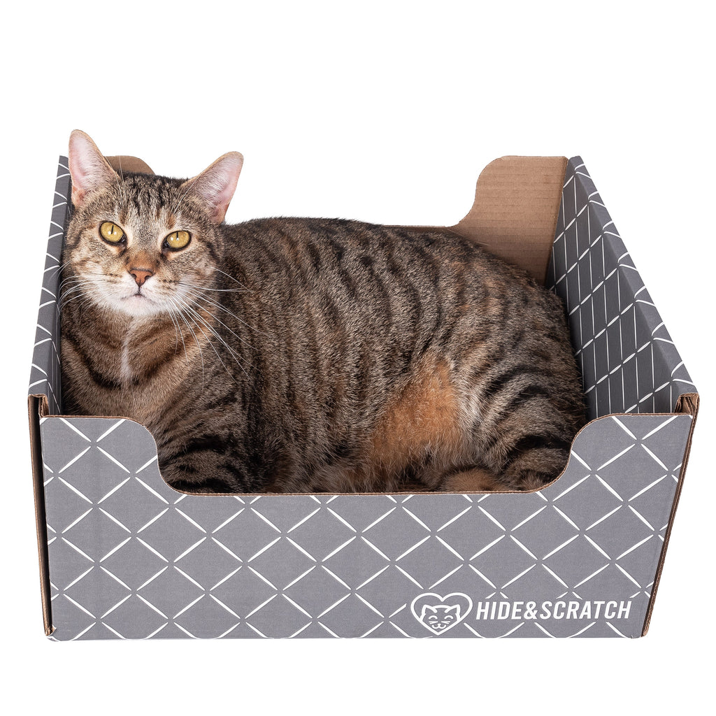 Hide & Scratch Extra-Large Cat Scratcher Box — Hideaway & Scratch Pad
