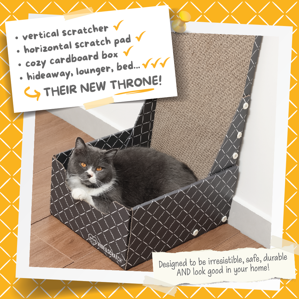 26" L-Shaped Cat Scratcher Box & Bed — 4-in-1 Double-Sided Cardboard