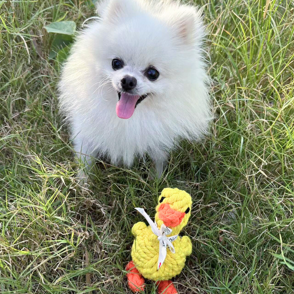 Sunny the Yellow Duck — Handmade Cotton Rope Dog Toy | Eco-Friendly