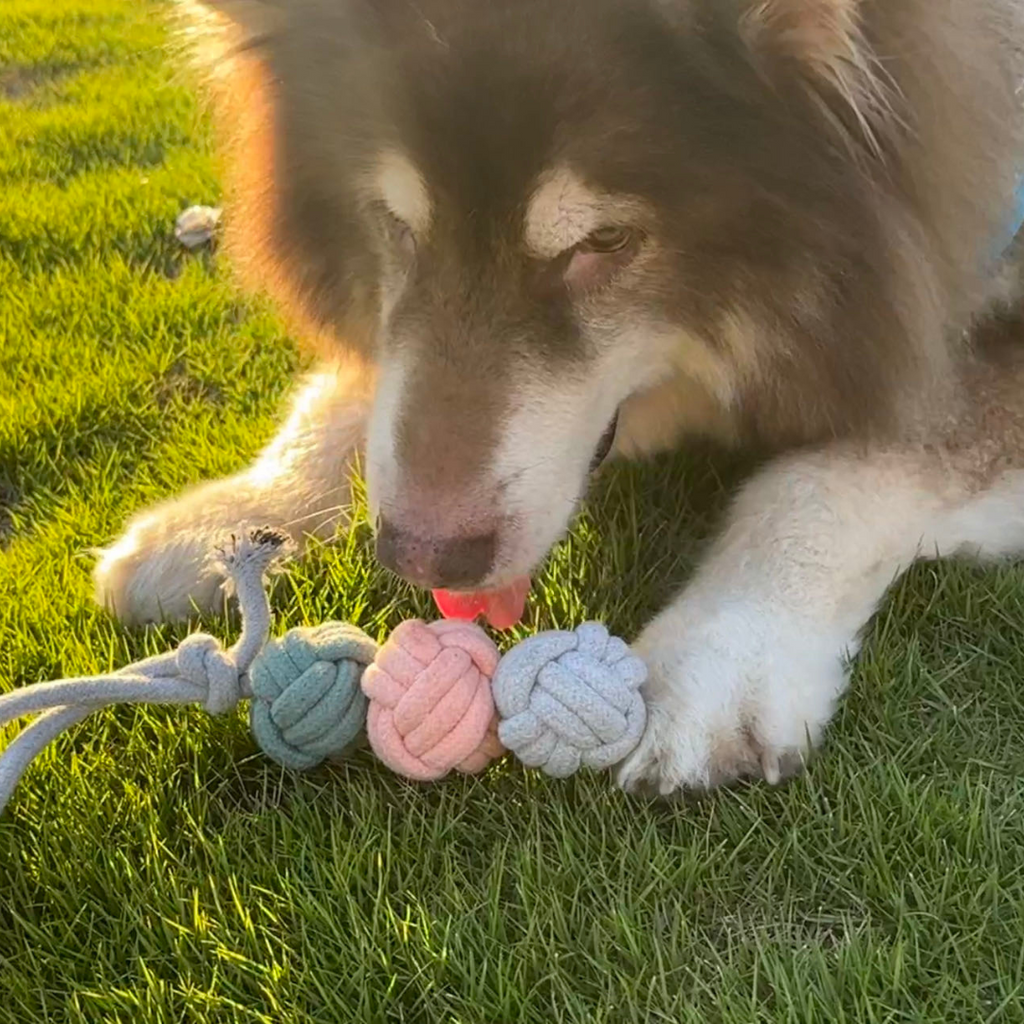 Ice Cream Rope Balls — Handmade Cotton Tug Toy | Large Dogs