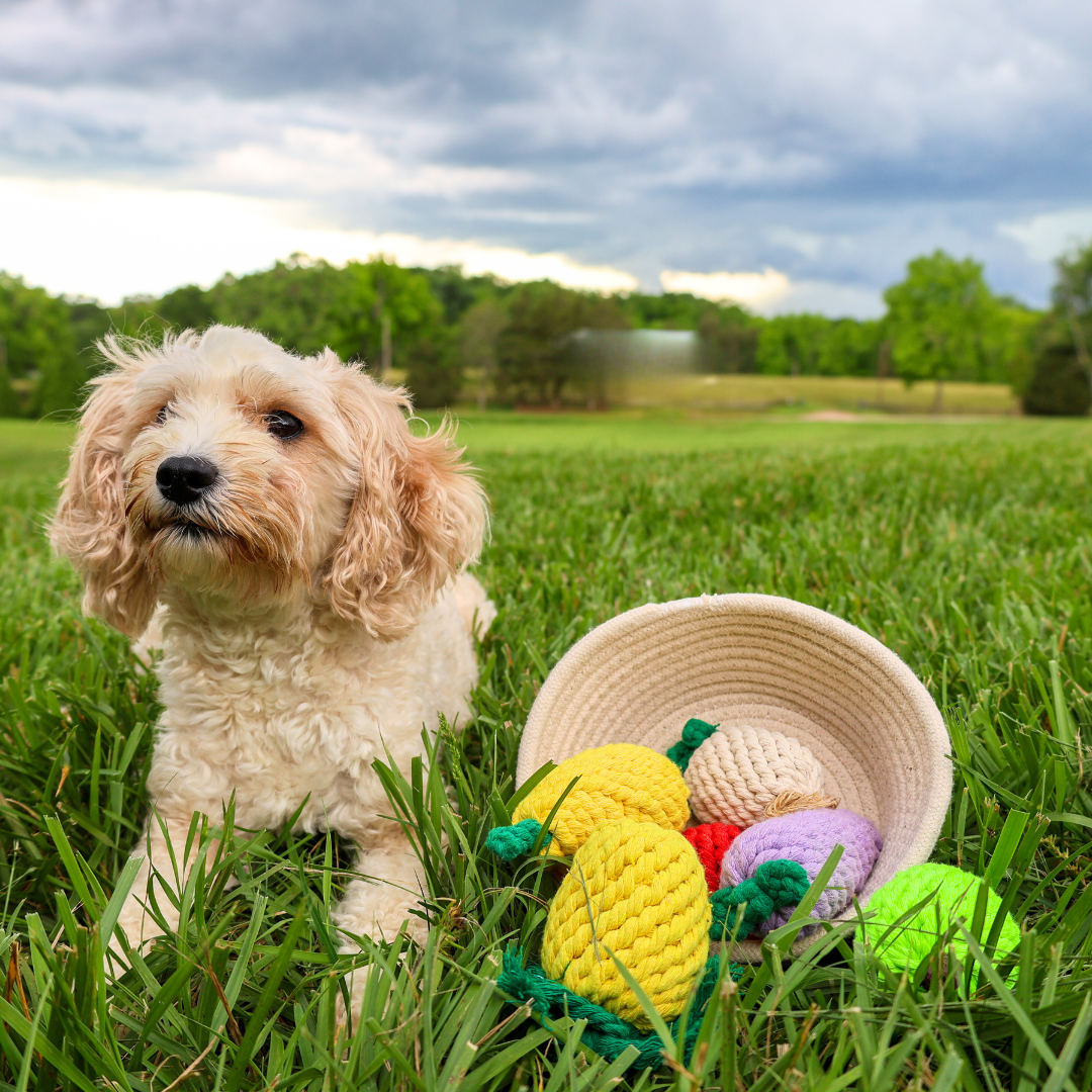 Fruity Delights — Handmade Rope Dog Toy Set | 7-Piece Fruit Basket