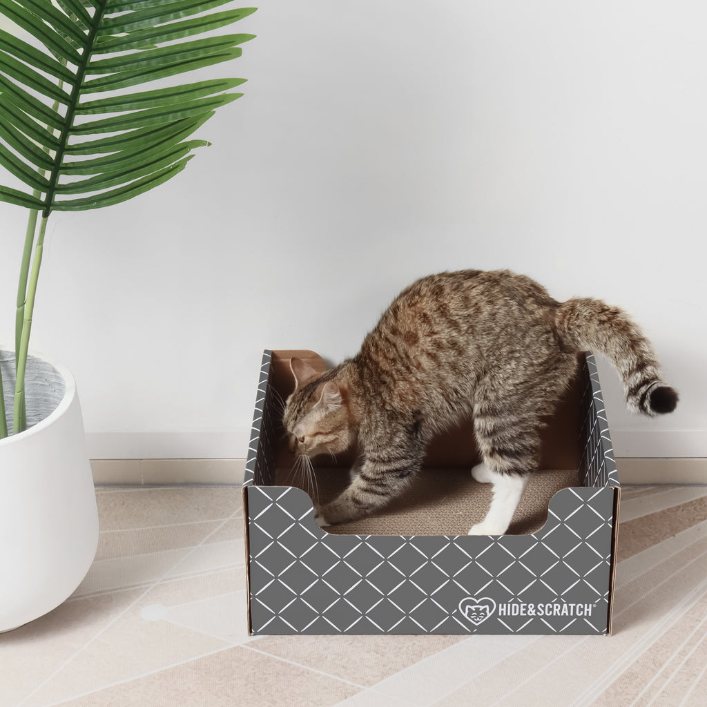 Hide & Scratch Extra-Large Cat Scratcher Box — Hideaway & Scratch Pad