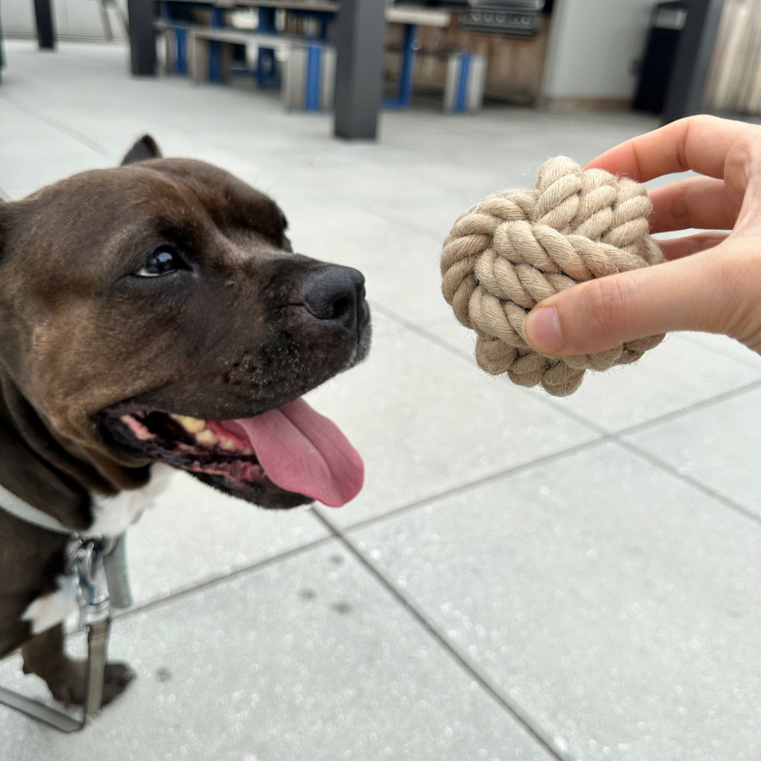 Natural Hemp Rope Ball — Handmade Eco-Friendly Dog Toy