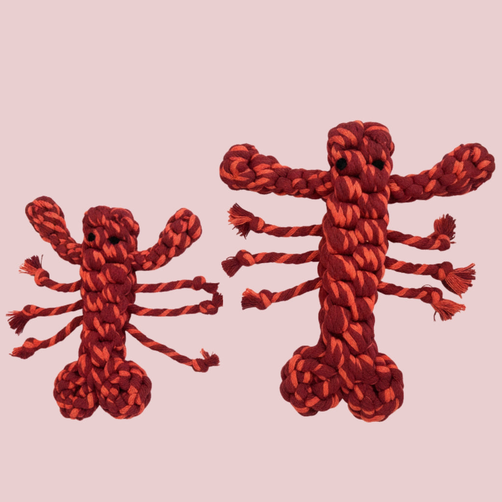 Coral Pop Lobster — Handmade Rope Dog Toy | Thicker & Stronger