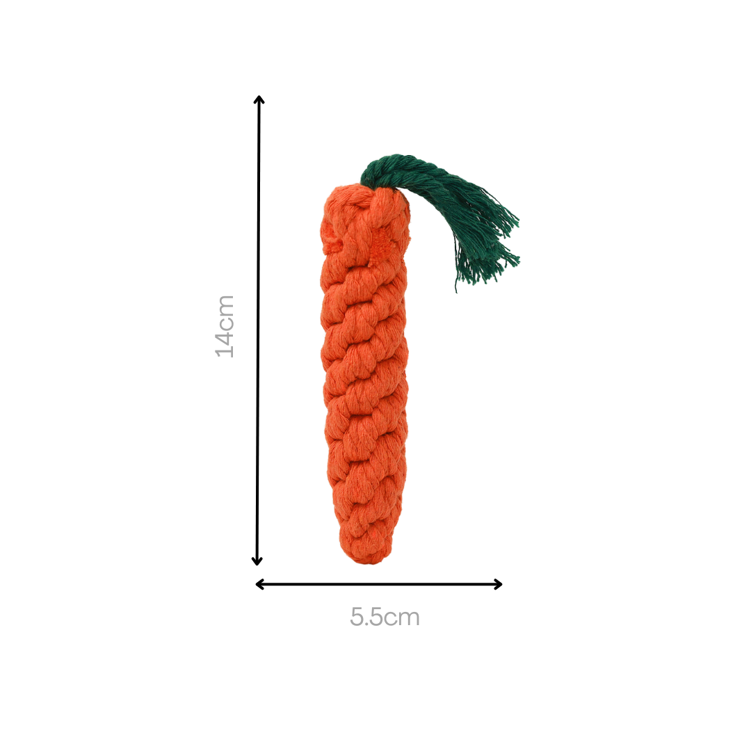 Carrot Rope Toy — Handmade Cotton Dog Toy | Small & Medium Dogs