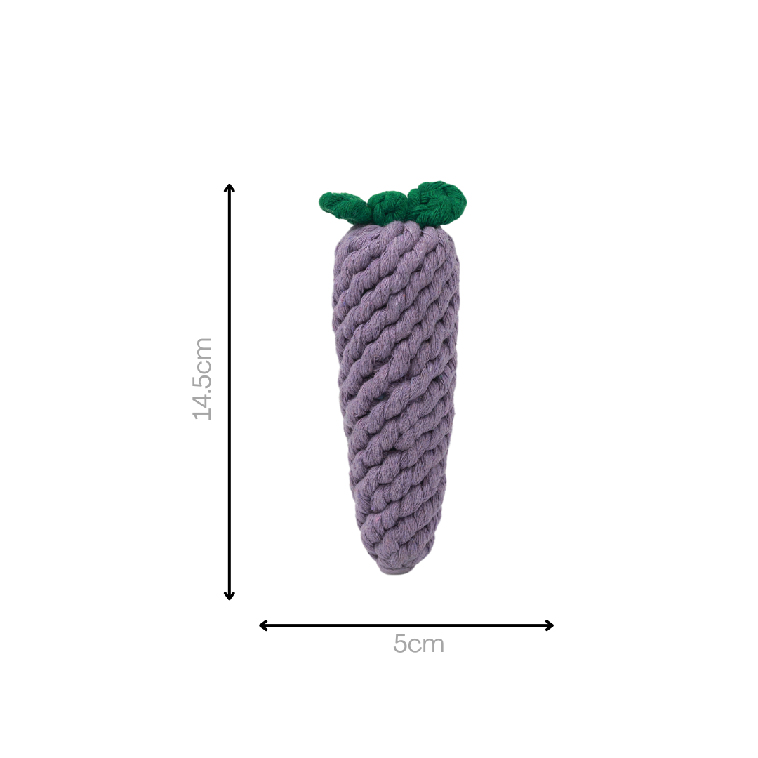 MarketVeg — Handmade Rope Dog Toy Set | 6-Piece Veggie Collection