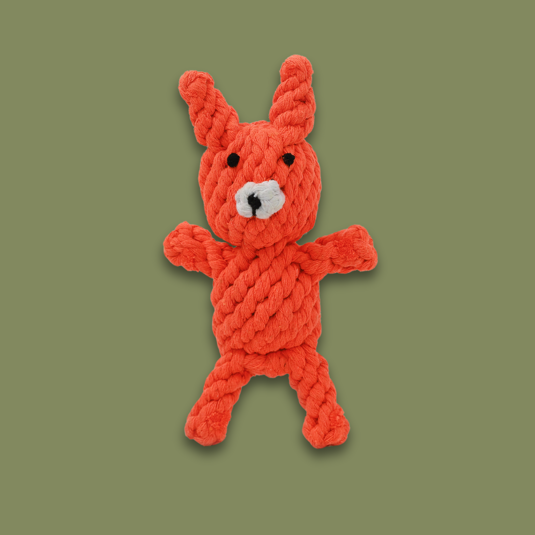Eco Fox — Handmade Cotton Rope Dog Toy | Durable & Sustainable