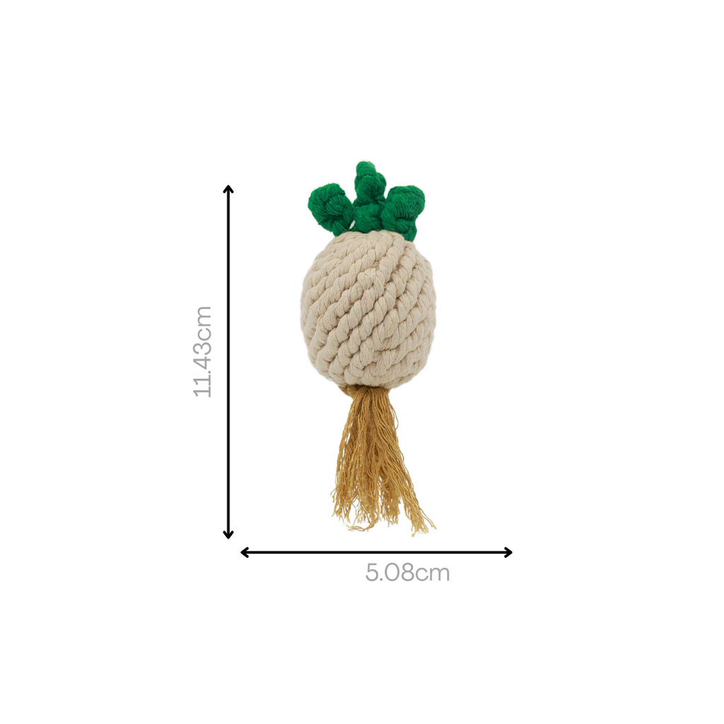 MarketVeg — Handmade Rope Dog Toy Set | 6-Piece Veggie Collection