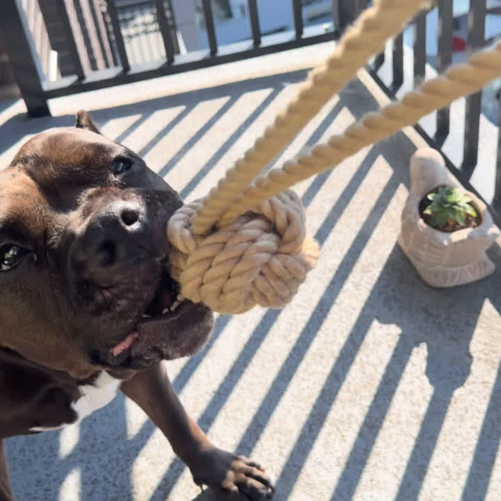 Natural Hemp Tug Rope Ball — Handmade Eco-Friendly Dog Toy