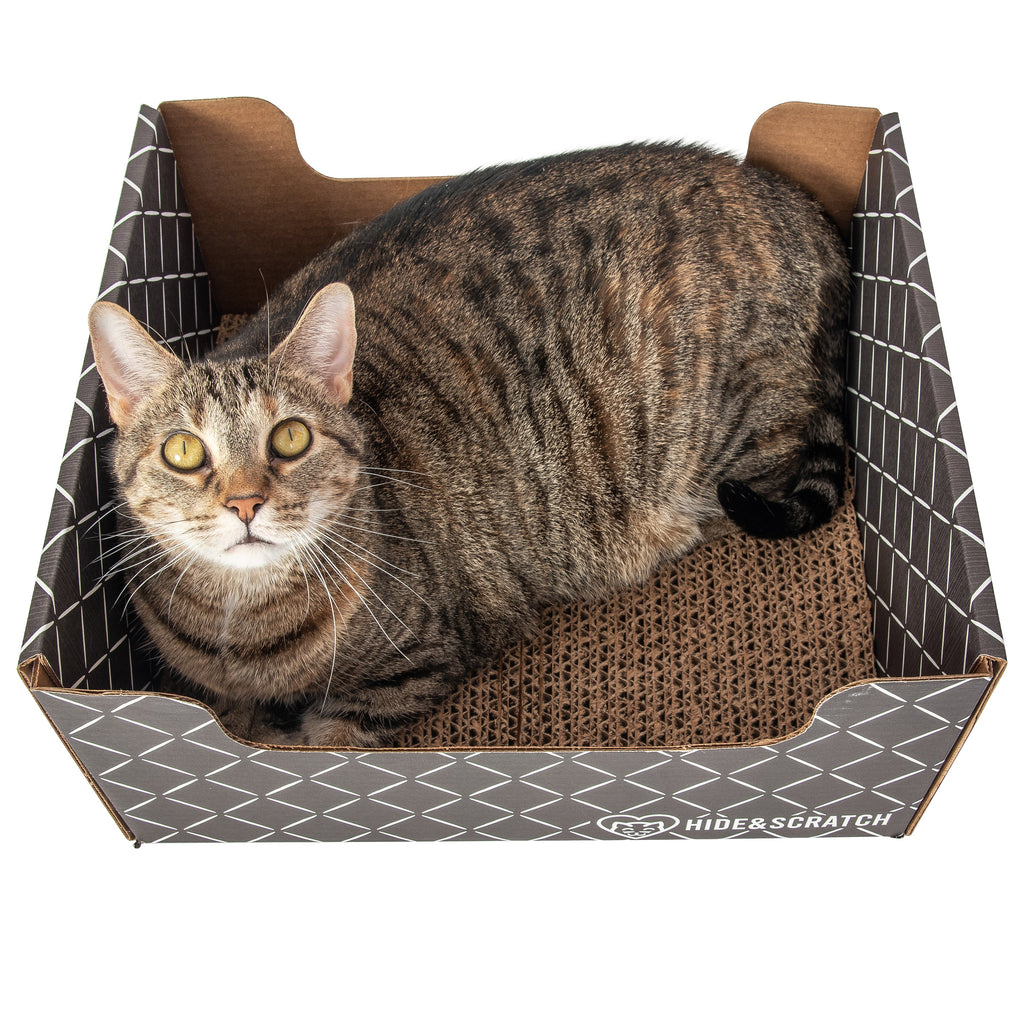 Hide & Scratch Extra-Large Cat Scratcher Box — Hideaway & Scratch Pad