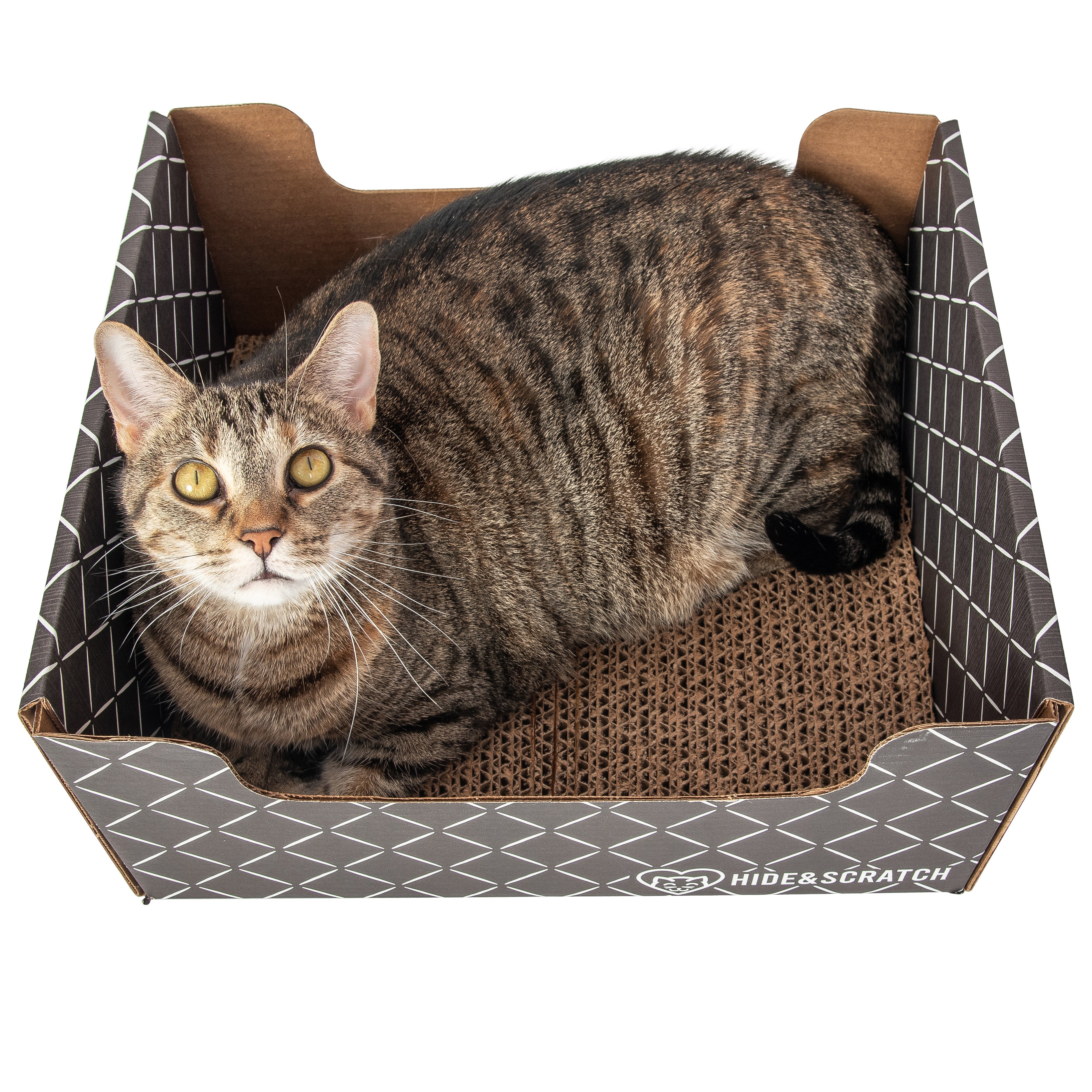 Hide & Scratch Extra-Large Cat Scratcher Box — Hideaway & Scratch Pad