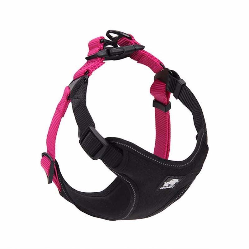 ComfortMesh Dog Collar & Leash Set — Breathable Walking Companion