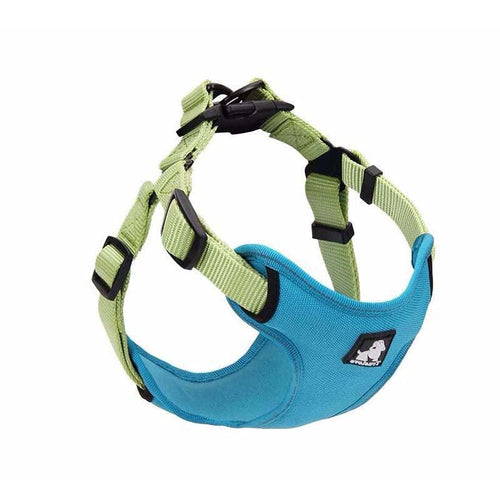 ComfortMesh Dog Collar & Leash Set — Breathable Walking Companion