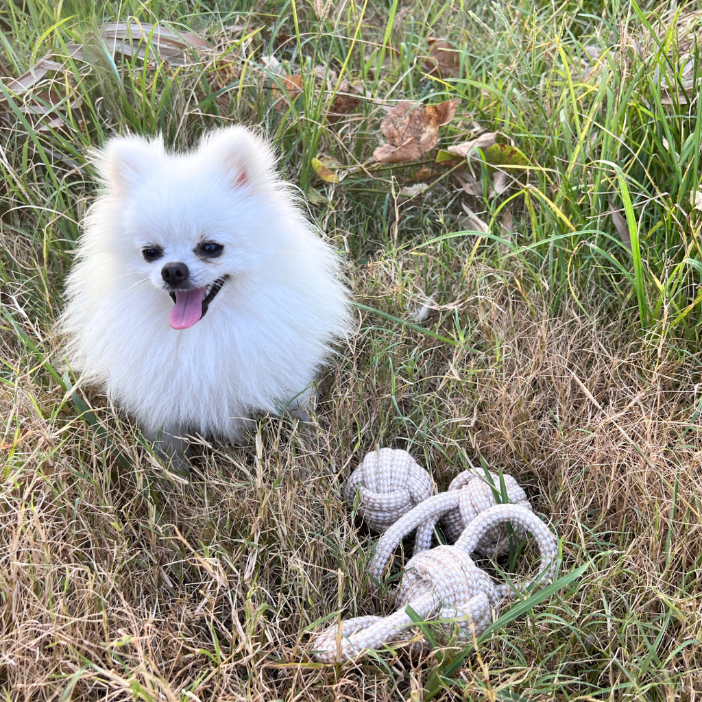 Natural Hemp Tug Toys — Handmade 3-Piece Eco Rope Set