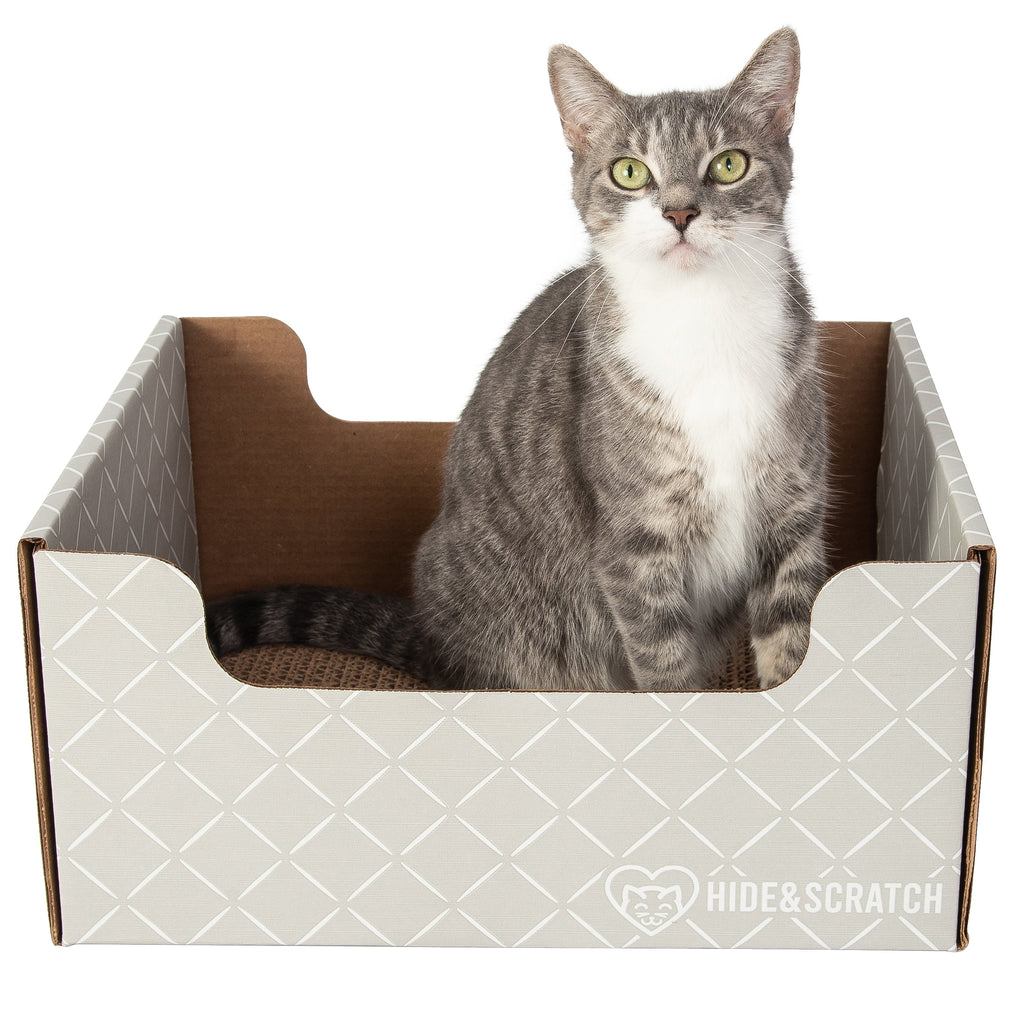 Hide & Scratch Extra-Large Cat Scratcher Box — Hideaway & Scratch Pad