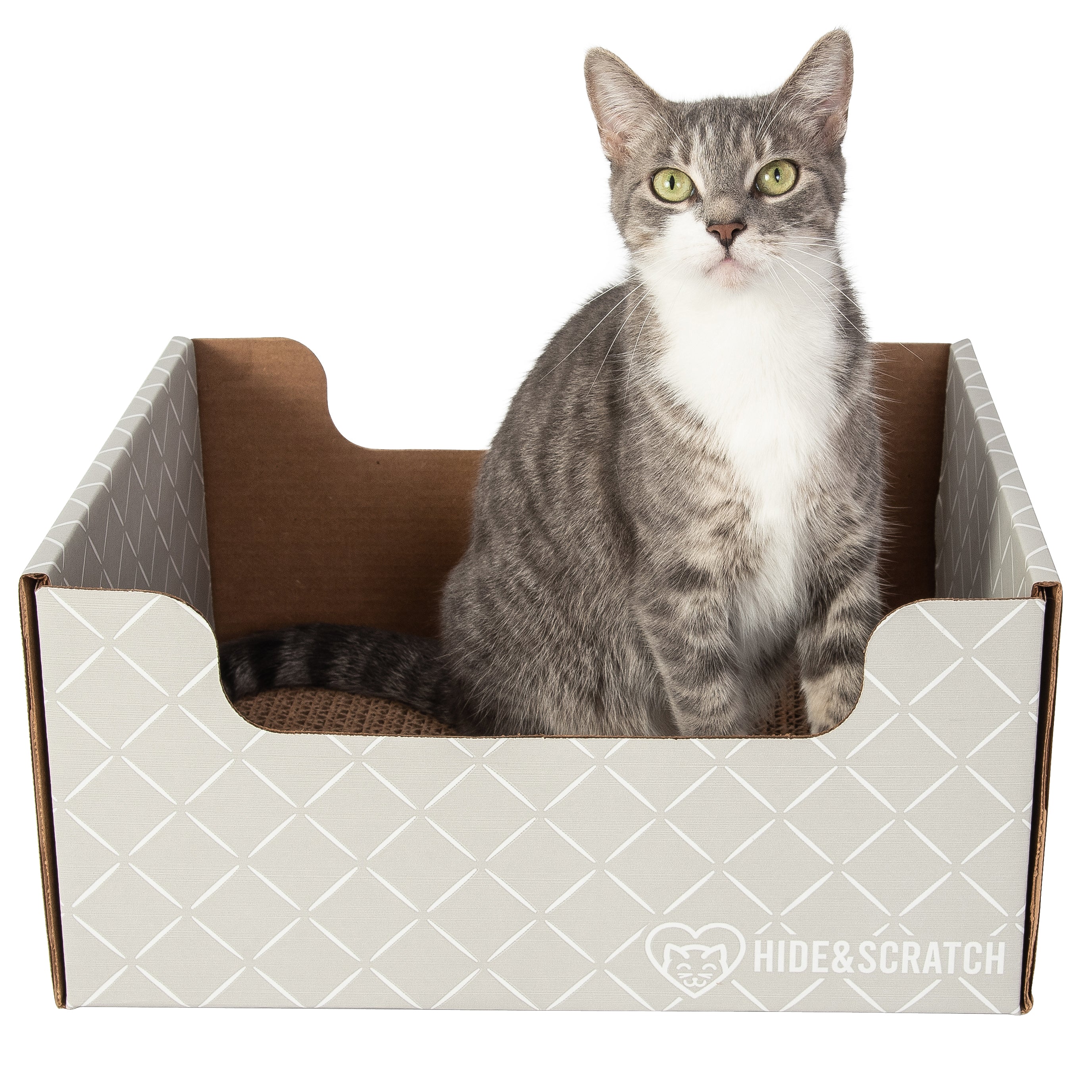 Hide & Scratch Extra-Large Cat Scratcher Box — Hideaway & Scratch Pad