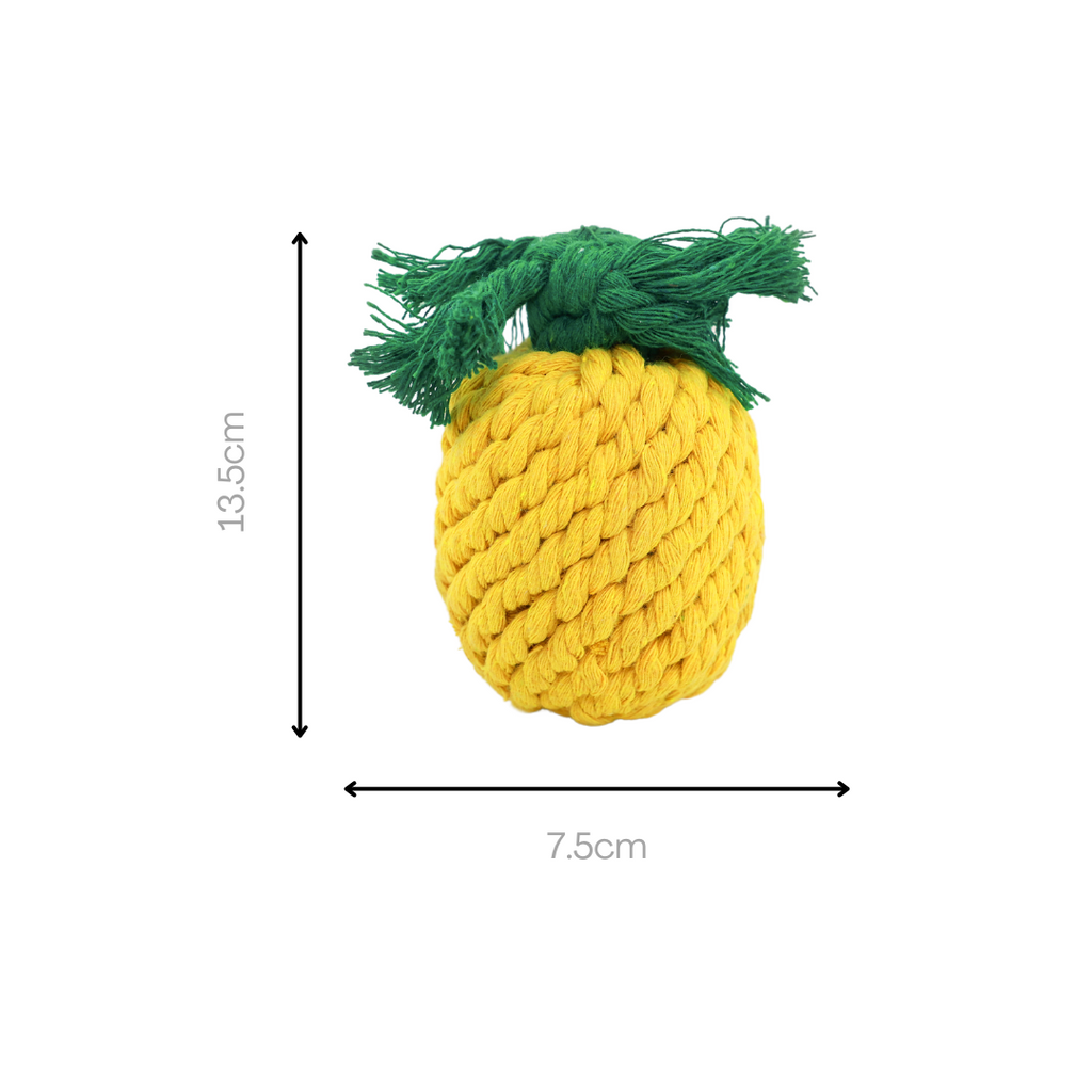 Pineapple Rope Toy — Handmade Cotton Dog Toy | Small Dogs