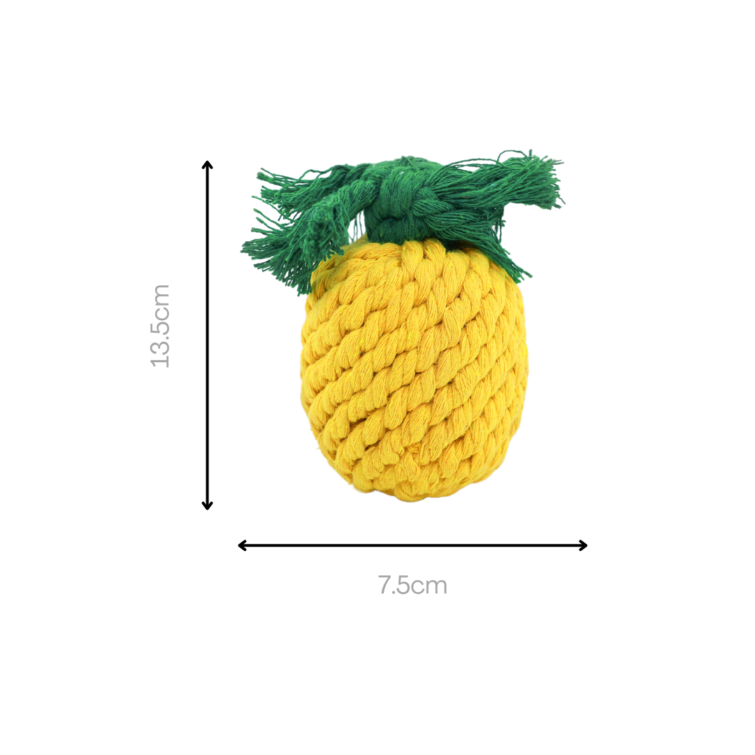 Pineapple Rope Toy — Handmade Cotton Dog Toy | Small Dogs