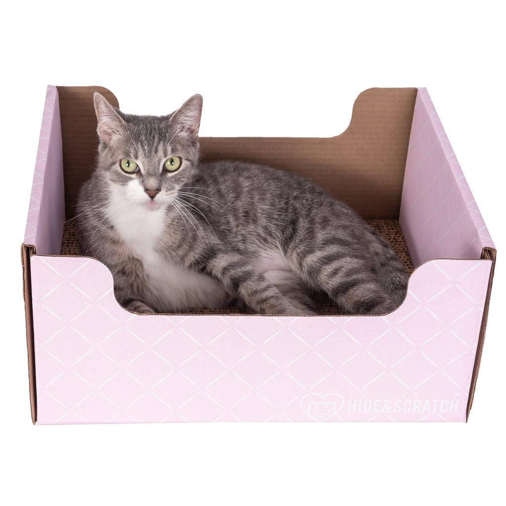 Hide & Scratch Extra-Large Cat Scratcher Box — Hideaway & Scratch Pad